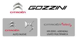 gozzini logo